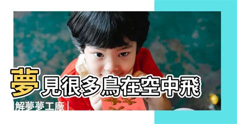 夢見雛鳥|周公解夢夢見鳥